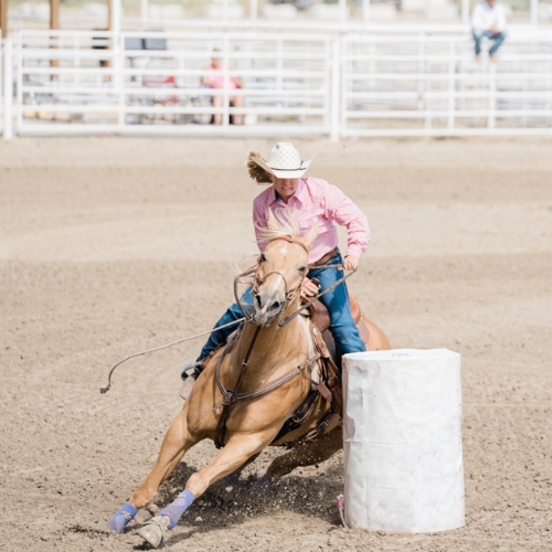 Horseback Riding Classes